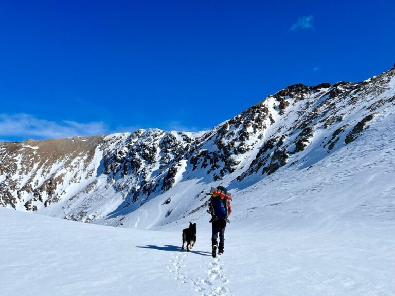 Es mostra una vall de muntanyes nevades, on al centre i en direcció per iniciar el descens, es pot observar a una persona equipada de material de muntanya i un gos de color negre.